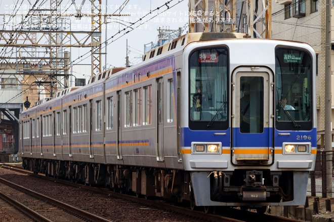 【南海】高野線 「自由席特急」が臨時運行を浅香山～堺東間で撮影した写真