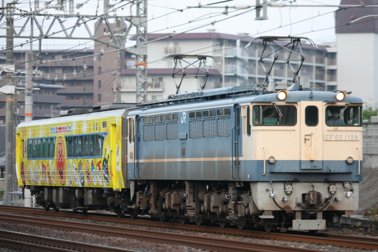 【JR四】ゆうゆうアンパンマンカー京都鉄道博物館配給の拡大写真