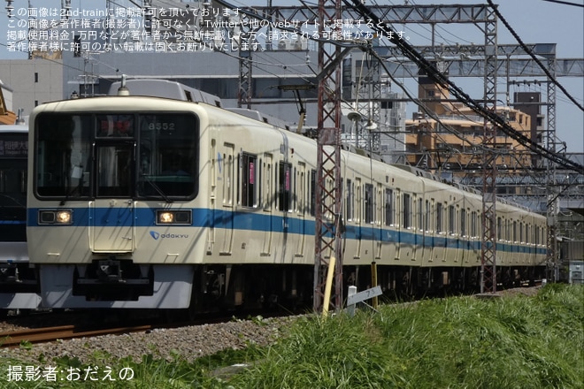 【小田急】8000形8252F(8252×6)使用 団体専用列車を中央林間～南林間間で撮影した写真