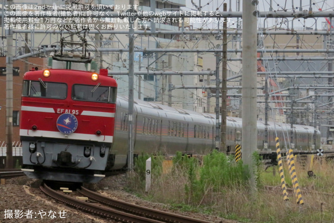 【JR東】EF81-95牽引青森行きカシオペア紀行運転(20230708)を尾久～赤羽間で撮影した写真