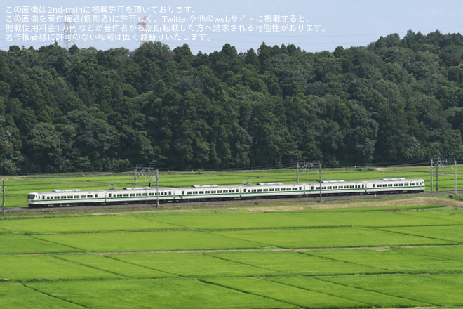 【JR東】185系C1編成 100周年バトンリレー号運行を物井～佐倉間で撮影した写真