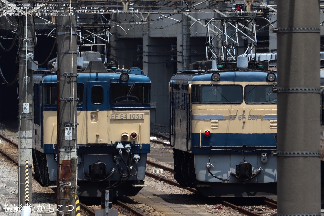【JR東】誘導訓練に伴いEF65-501とEF64-1053が高崎運輸区への拡大写真