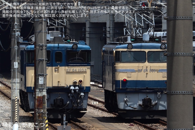 【JR東】誘導訓練に伴いEF65-501とEF64-1053が高崎運輸区へを不明で撮影した写真