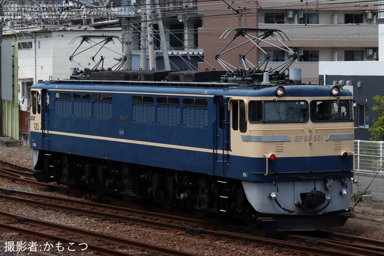 【JR東】誘導訓練に伴いEF65-501とEF64-1053が高崎運輸区への拡大写真