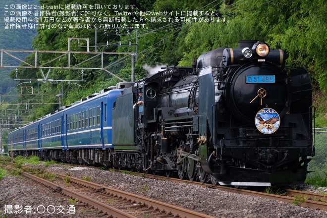 【JR東】D51-498 「水色ナンバープレート」取り付けを不明で撮影した写真