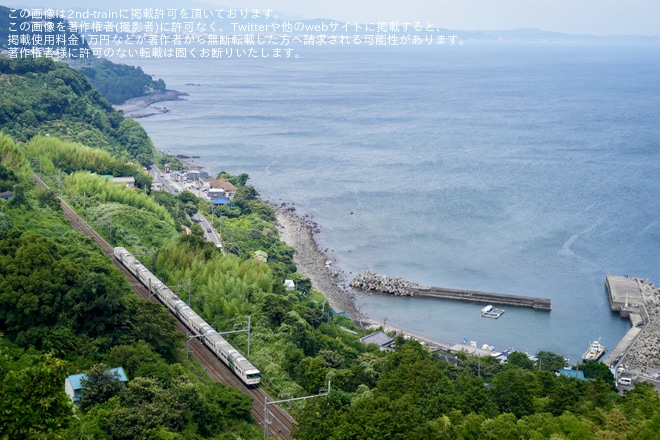 【JR東】特急「185(いっぱーご)」が臨時運行を根府川～真鶴間で撮影した写真