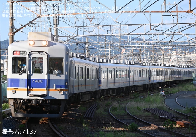 【南海】和歌山港まつり開催に伴う臨時列車を不明で撮影した写真