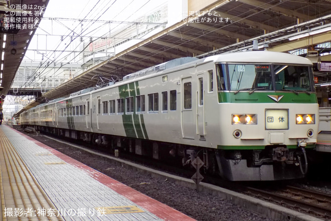 【JR東】「ハローキティと行く伊東温泉1泊2日の旅」による団体臨時列車が185系で運転を横浜駅で撮影した写真