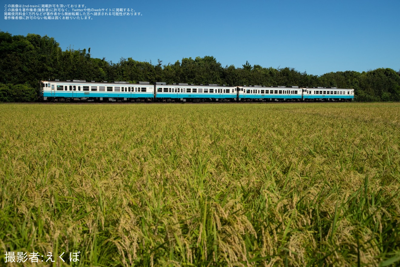 【JR四】阿波おどりの開催に合わせた増結運転(2023)の拡大写真