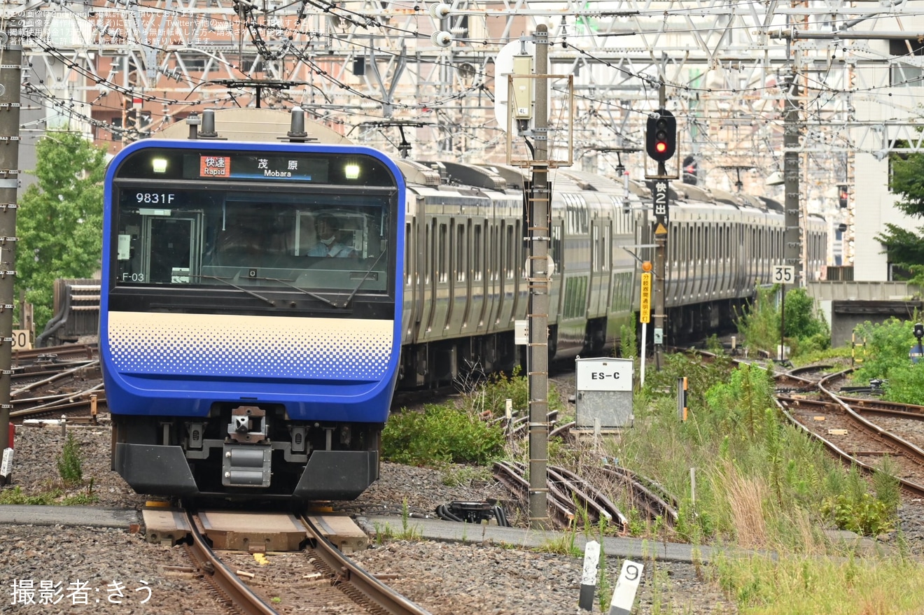 【JR東】総武快速線からの快速茂原行運行(ロッキン臨)の拡大写真