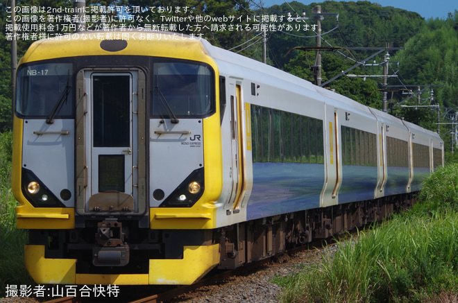 【JR東】特急「さざなみ91号」臨時運行を那古船形～富浦間で撮影した写真