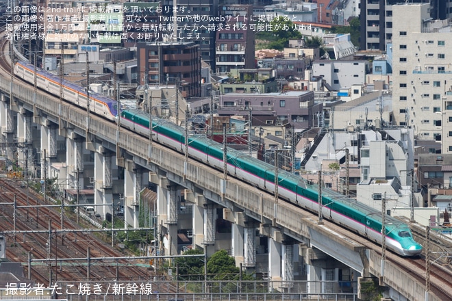 【JR東】E8系G1編成+E5系U46編成が東京新幹線車両センターへを北とぴあで撮影した写真