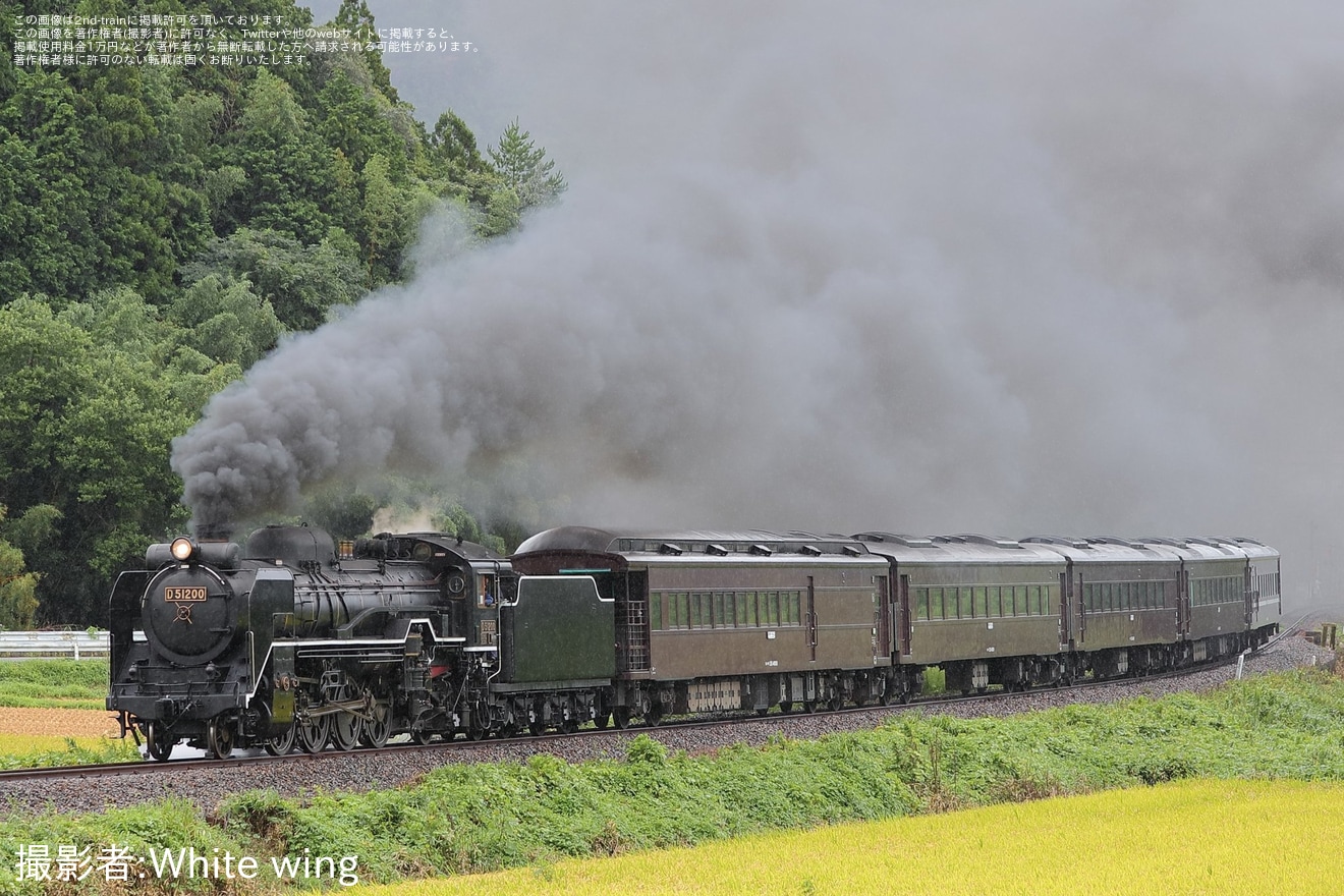 【JR西】D51-200および35系5両が山口線で試運転の拡大写真