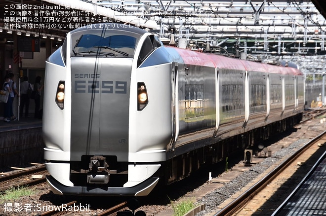 【JR東】E259系Ne010編成が大宮総合車両センターで新塗装化され出場回送を大宮駅で撮影した写真