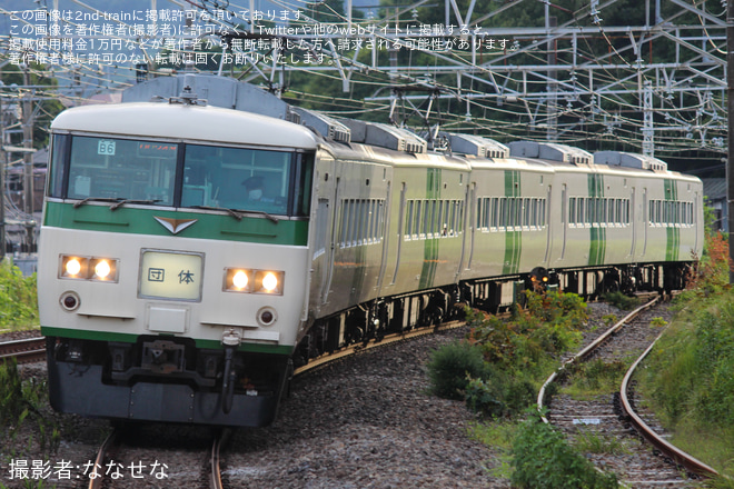【JR東】「185系で行く、伊豆撮影旅」ツアーで団臨が運転を真鶴駅で撮影した写真