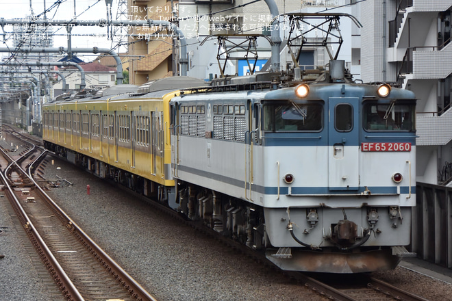 【西武】新101系245F(ツートンカラー)多摩川線へ甲種輸送