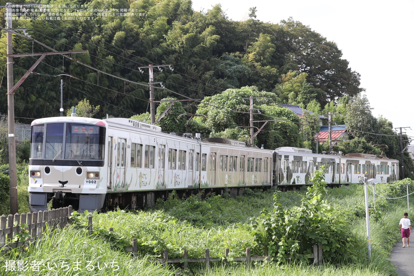 【東急】こどもの国線「うしでんしゃ・ひつじでんしゃ連結4両編成」を運行の拡大写真