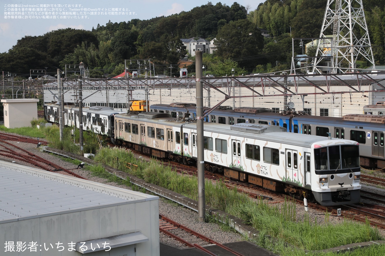 【東急】こどもの国線「うしでんしゃ・ひつじでんしゃ連結4両編成」を運行の拡大写真