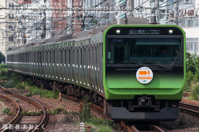 【JR東】E235系トウ08編成へハチ公生誕100周年記念ヘッドマーク取り付けを恵比寿駅で撮影した写真