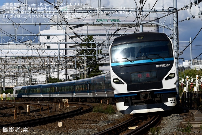 【JR東】E257系2000番台9両を使用した臨時特急「えぼし」運転を大船～藤沢間で撮影した写真