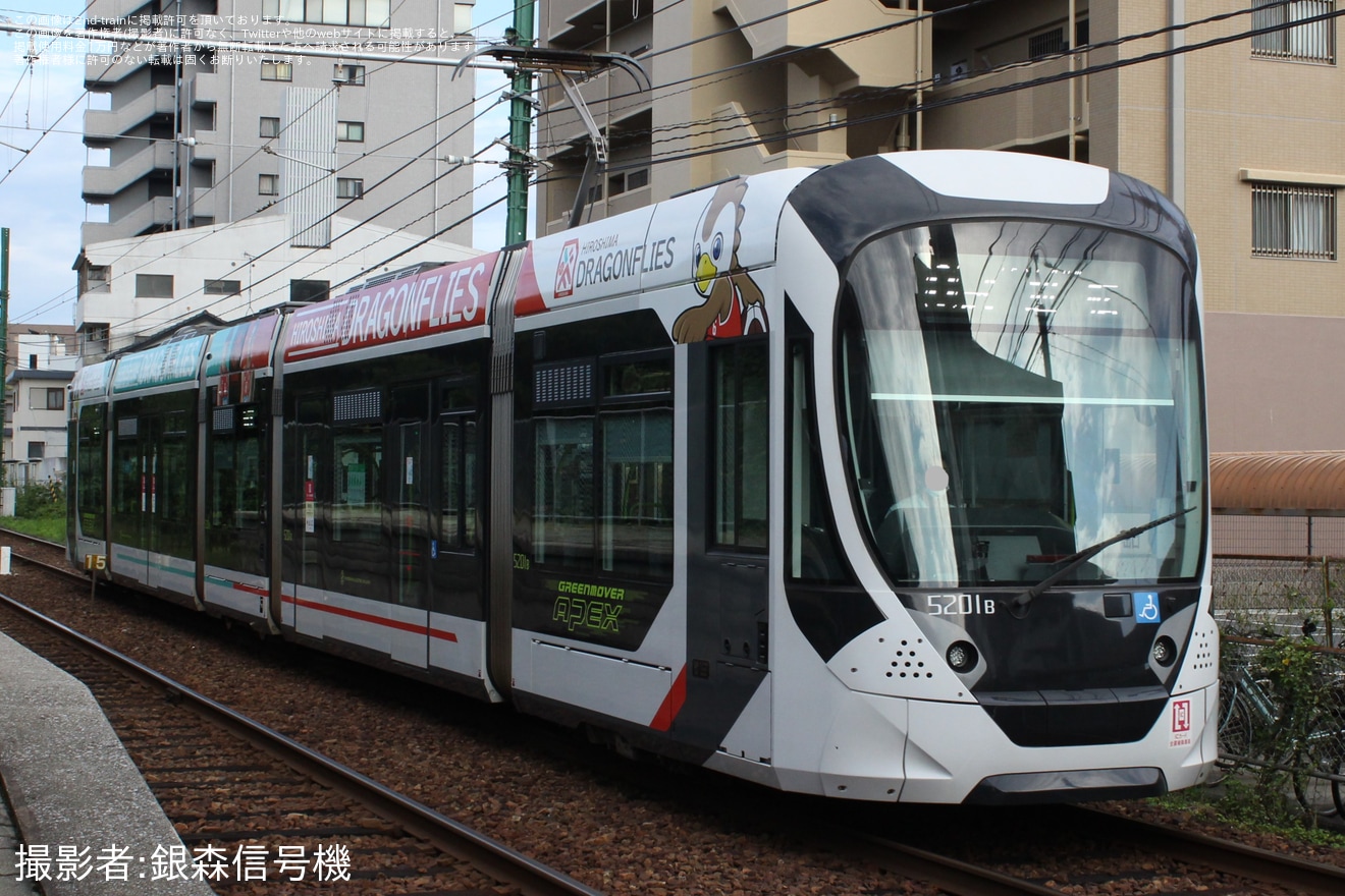 【広電】「広島ドラゴンフライズ電車」新デザインラッピング開始の拡大写真