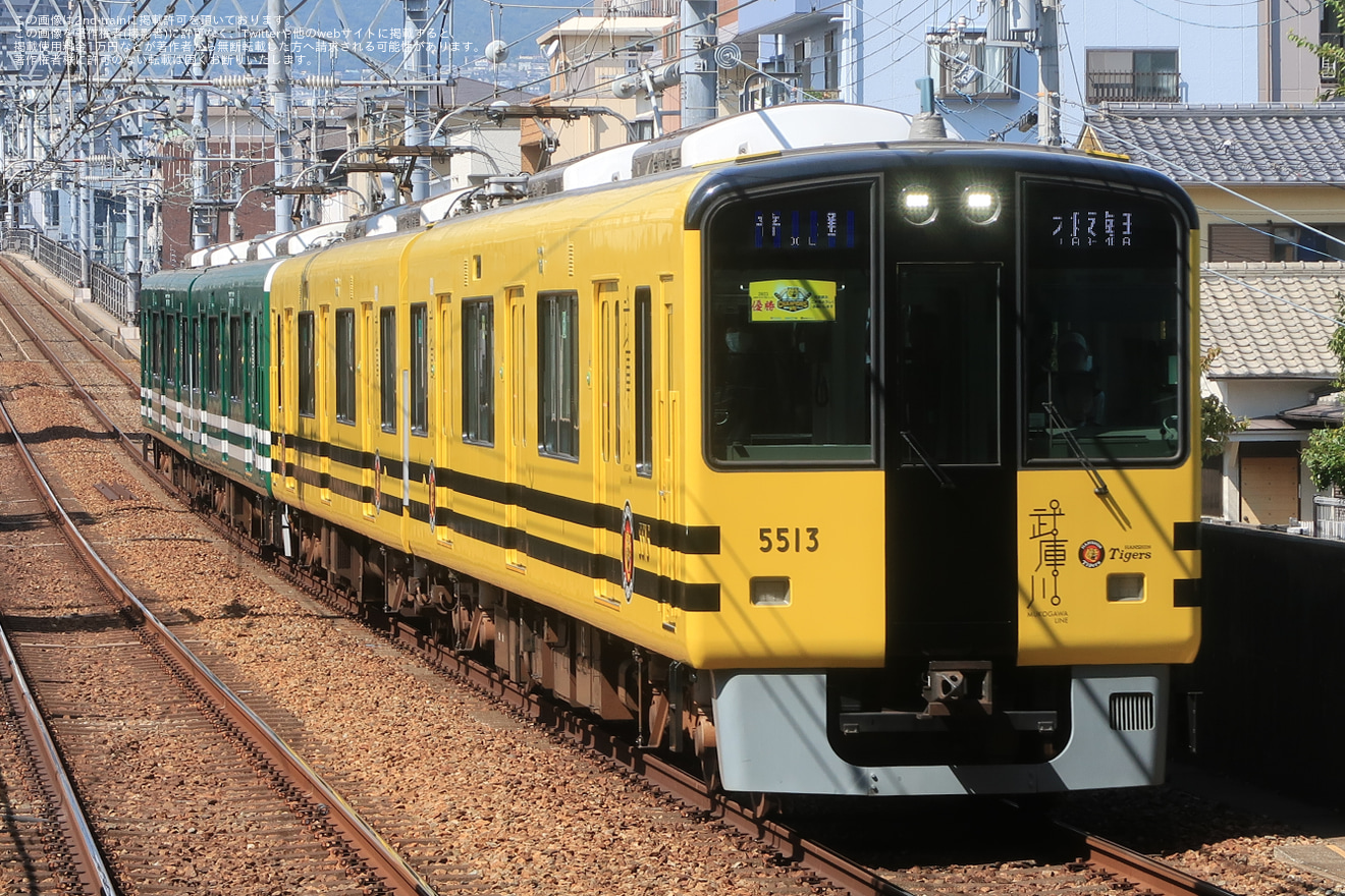 【阪神】武庫川線用車両「タイガース号」・「甲子園号」本線で特別運行の拡大写真