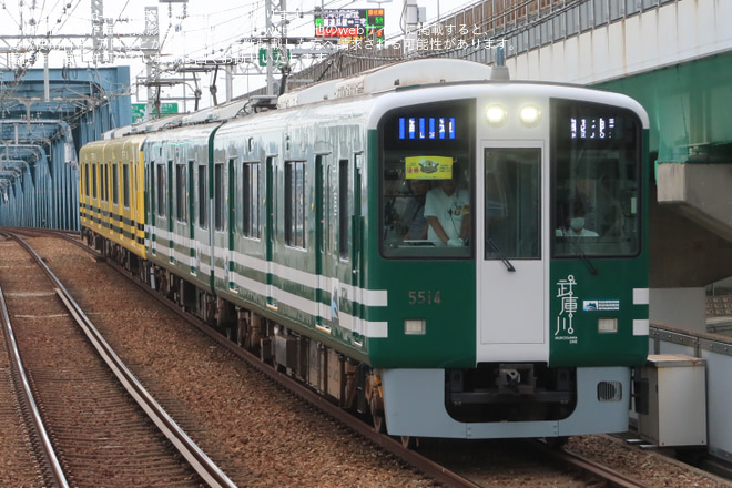 【阪神】武庫川線用車両「タイガース号」・「甲子園号」本線で特別運行を姫島駅で撮影した写真