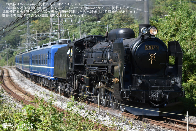 【JR東】C61-20 試運転(20231003)を敷島～津久田間で撮影した写真