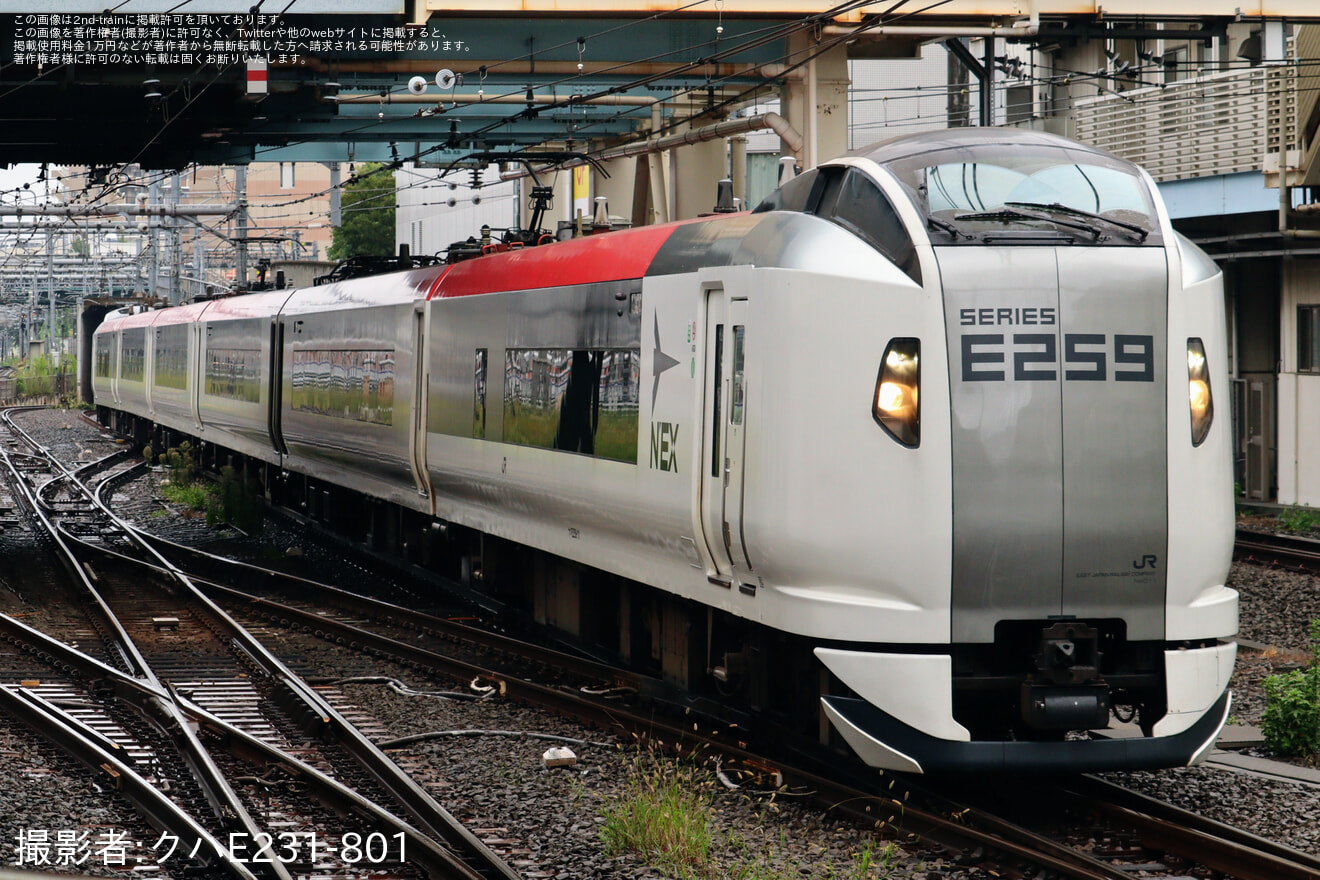【JR東】E259系クラNe011編成大宮総合車両センター出場回送の拡大写真