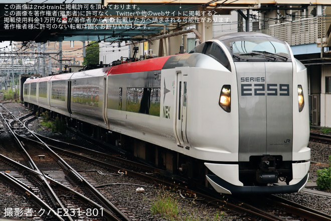 【JR東】E259系クラNe011編成大宮総合車両センター出場回送を池袋駅で撮影した写真