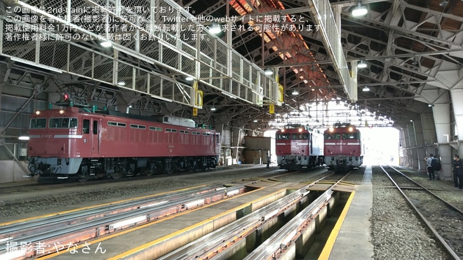 【JR東】「EF81形電気機関車撮影会@長岡」開催