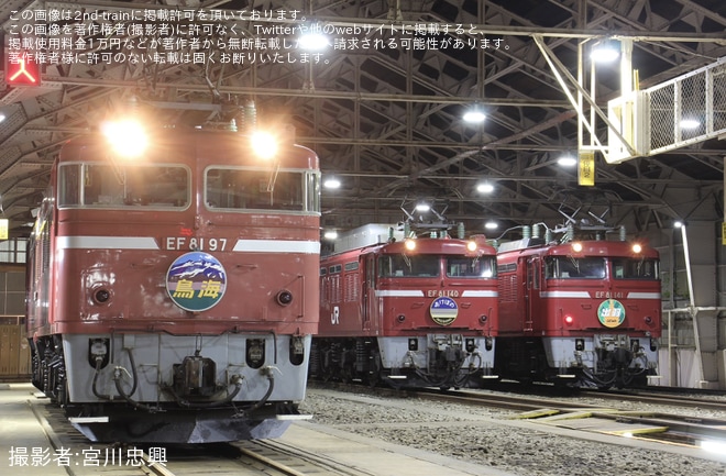 【JR東】「EF81形電気機関車撮影会@長岡」開催(第二部[＝夜の部]）を長岡駅で撮影した写真