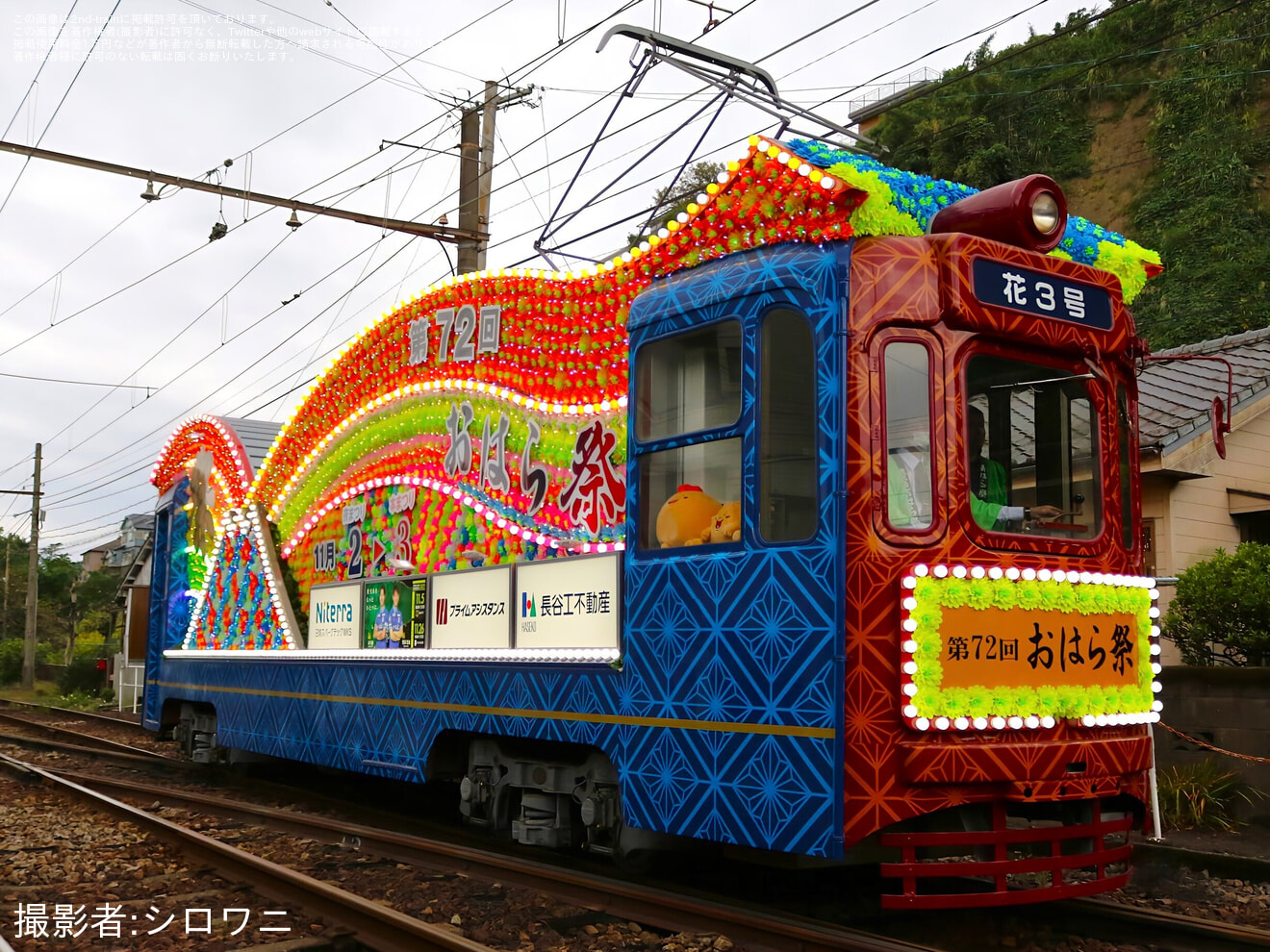 【鹿市交】「花電車3号」試運転の拡大写真