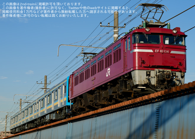 【JR東】EF81-134牽引E131系1000番台ナハT3編成 配給輸送を新鶴見信～鶴見間で撮影した写真