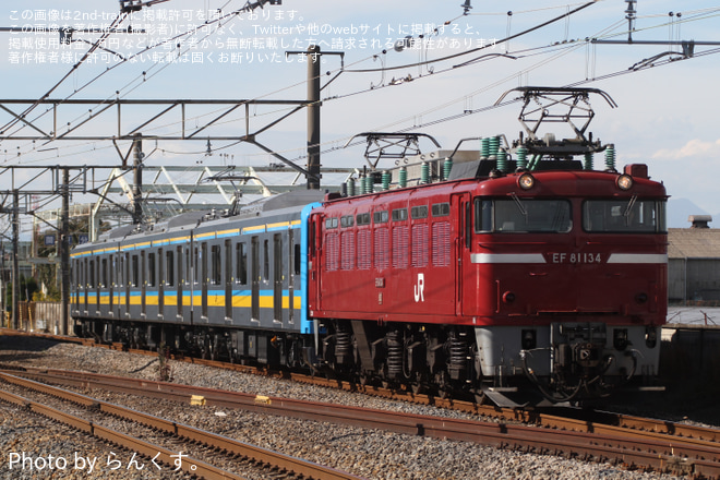 【JR東】EF81-134牽引E131系1000番台ナハT3編成 配給輸送を岡部～深谷間で撮影した写真