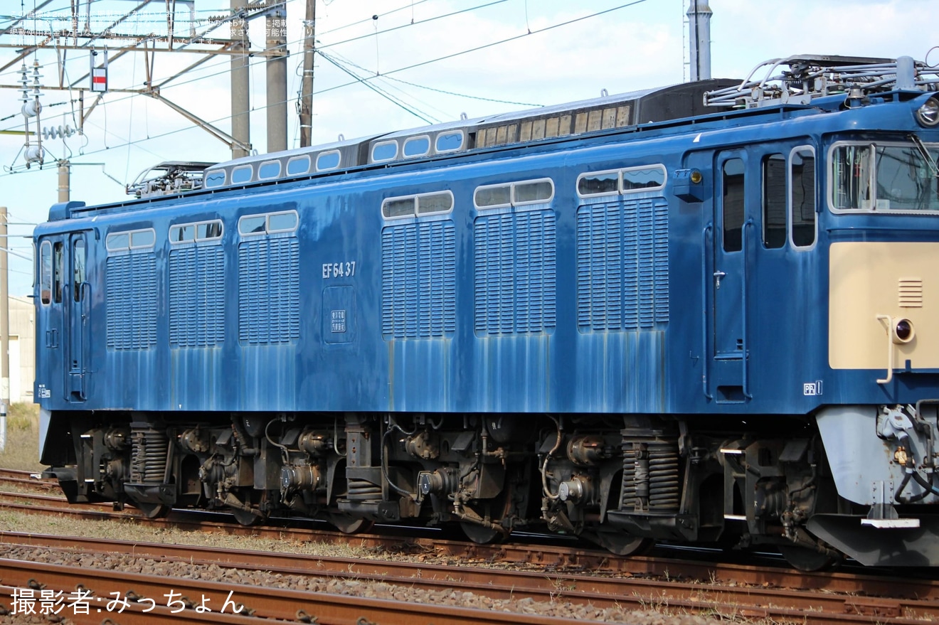 【JR東】EF64-37秋田総合車両センター構内で入換の拡大写真