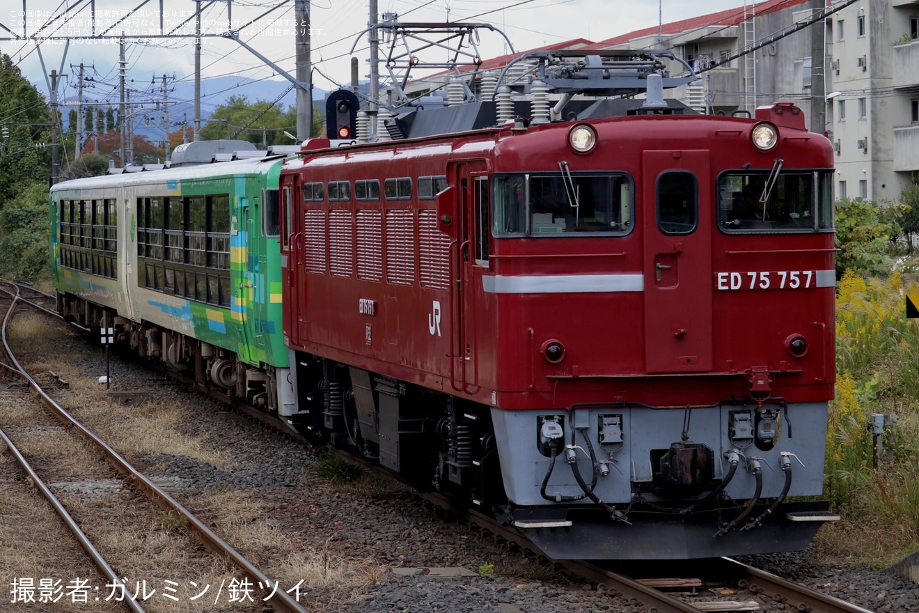 【JR東】快速「風っこ仙山線紅葉号」が臨時運行(2023年10月)の拡大写真