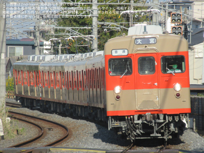 【東武】8000系8111F(ツートンカラー) 東武野田線での営業運転開始を豊春駅で撮影した写真