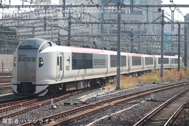【JR東】E259系Ne008編成大宮総合車両センター出場回送を品川駅で撮影した写真
