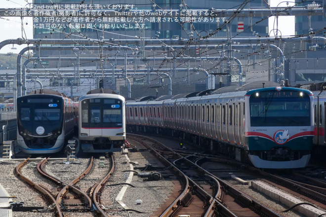 【相鉄】11000系11002×10(11002F)が「おかいもの電車 」ラッピング営業運転開始を星川駅で撮影した写真