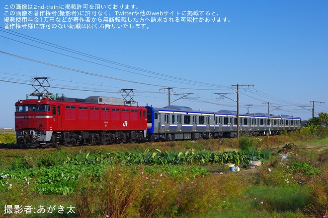 【JR東】E235系クラJ28編成が配給輸送を不明で撮影した写真