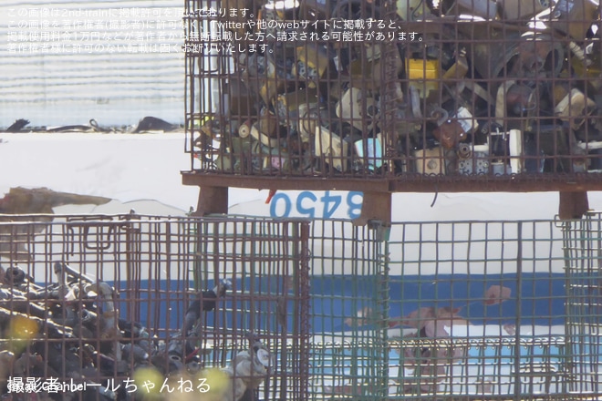 【東武】8000系8150Fの8450号車が解体を不明で撮影した写真