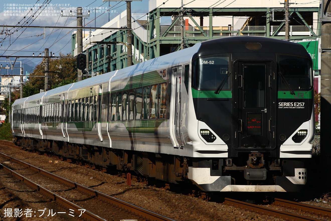 【JR東】特急「鎌倉紅葉」が臨時運行(2023)の拡大写真