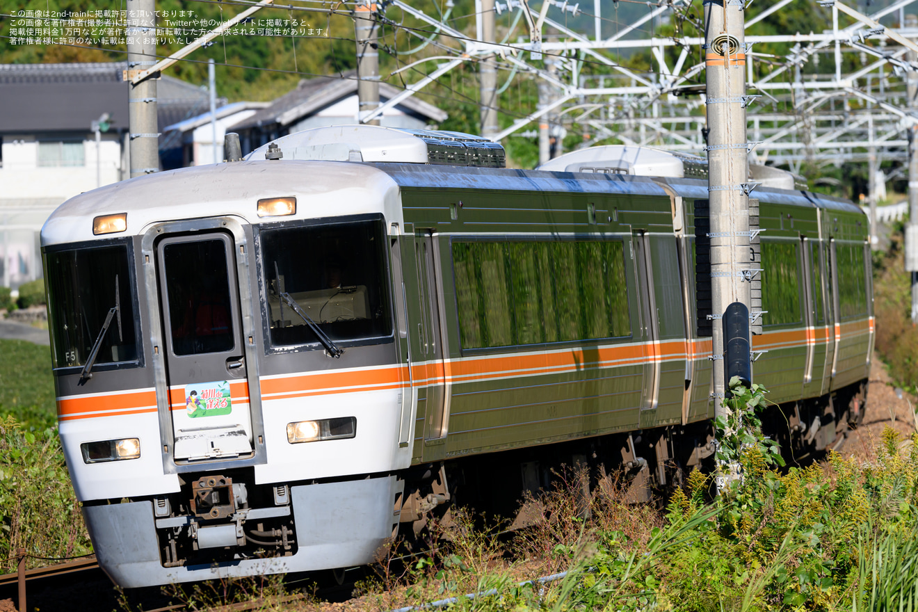 【JR海】臨時快速「菊川de逢える号」を運行(2023年11月)の拡大写真