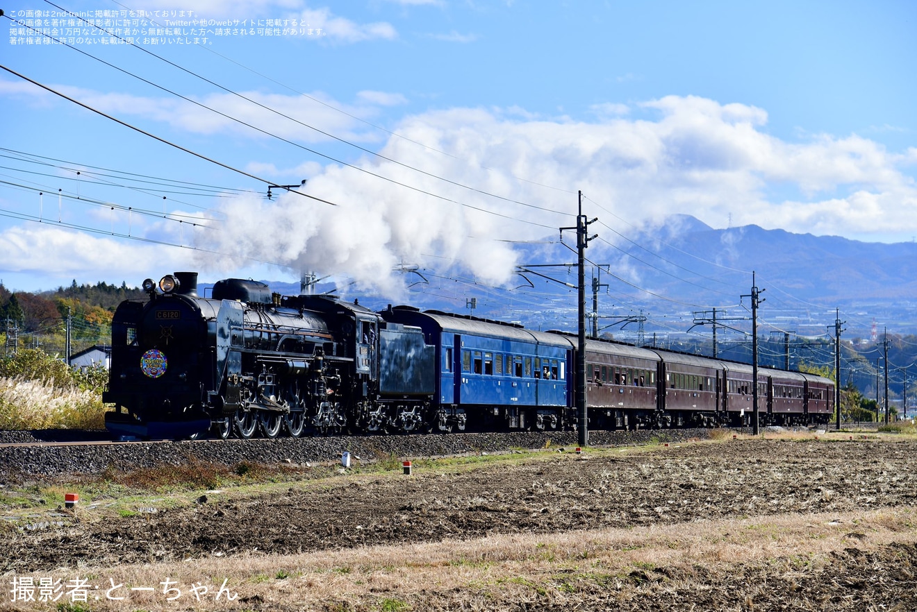 【JR東】「D51復活35周年水上」号がC61-20の牽引により運転の拡大写真