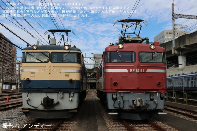 【JR東】「EF65-501・EF81-81 撮影会」開催