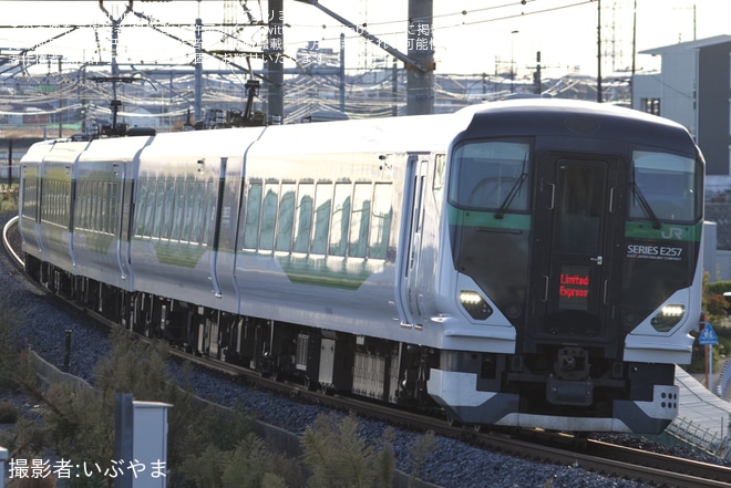 【JR東】特急「武蔵野線50周年鎌倉号」が臨時運行を吉川駅で撮影した写真