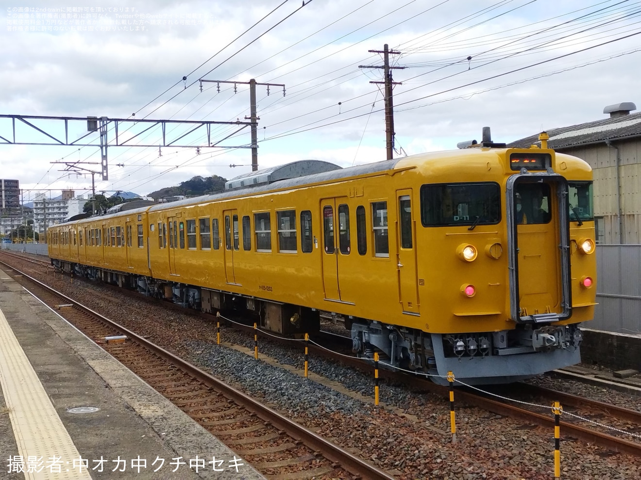 【JR西】115系D-11編成下関総合車両所本所出場構内試運転の拡大写真