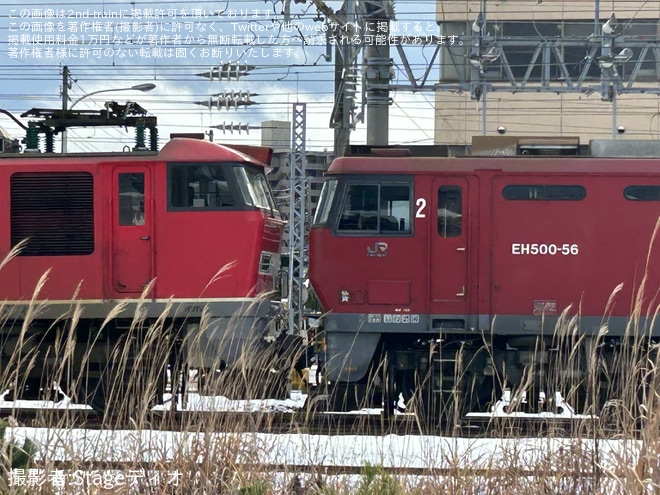 【JR貨】秋田貨物駅にてEF510-3が車止めに突っ込み脱線
