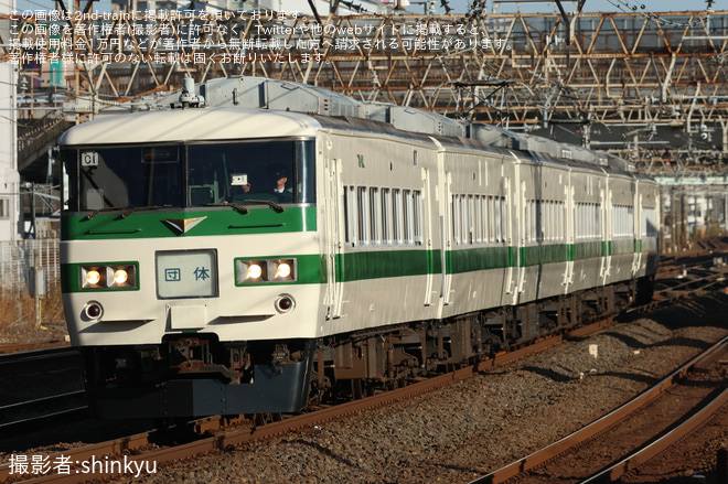 【JR東】185系 C1編成 団体臨時列車「わんだフルTRAIN」